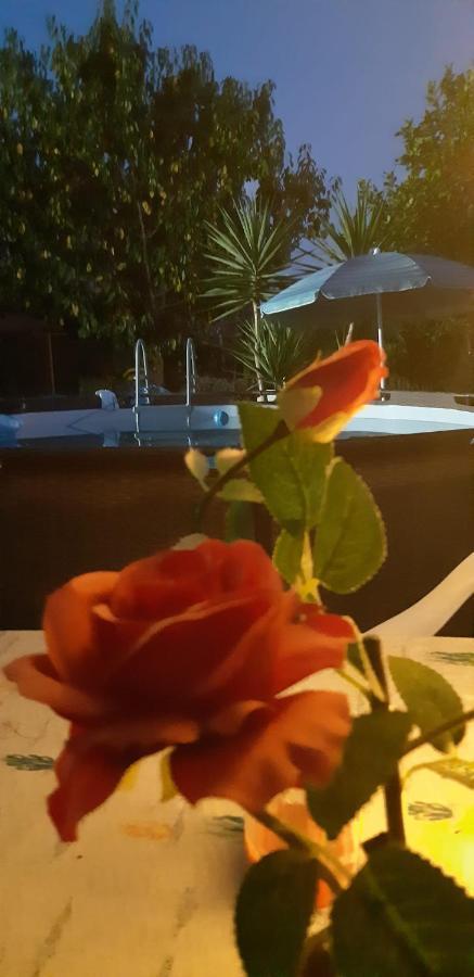 L'Isola Felice Daire Cecina  Dış mekan fotoğraf